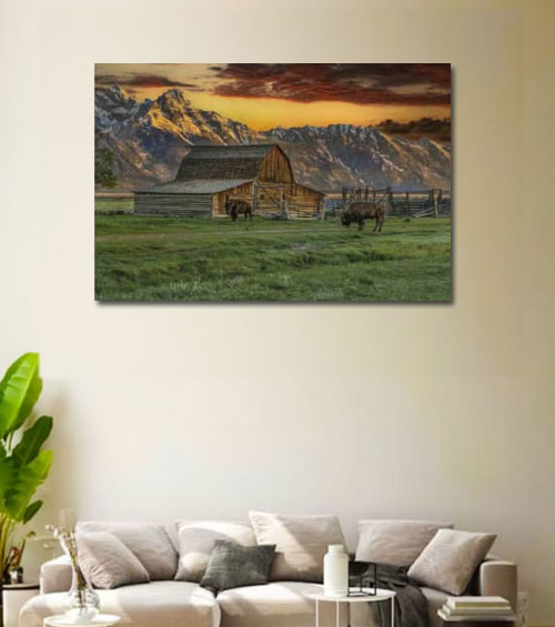 Moulton Barn At Sunrise With Bison